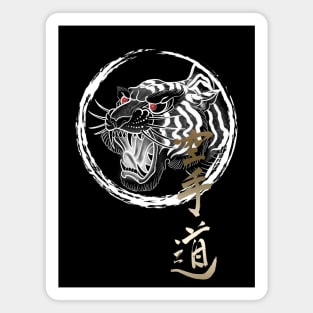 Karate tiger 2.2 Magnet